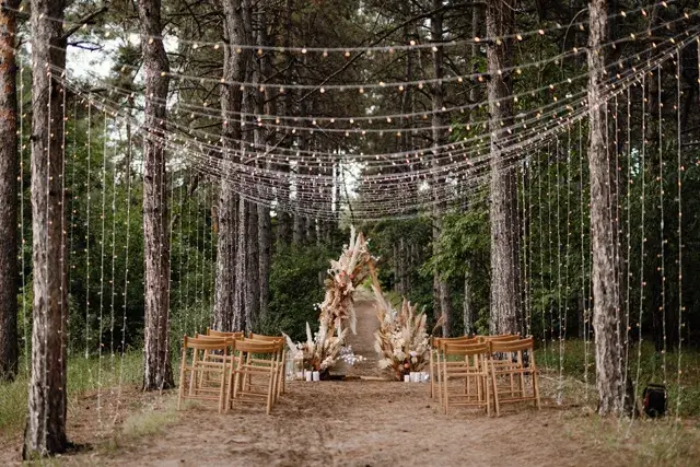 A meadow in a pine brown forest with dried flowers for a wedding ceremony
