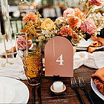 Nova Events by Greta McNebb